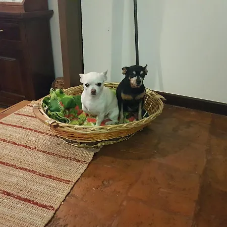 A Casa Di Nonna Luciana Penzion Asti
