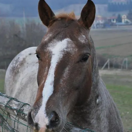 A Casa Di Nonna Luciana *